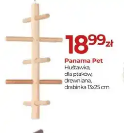 Zoo Karina Huśtawka dla ptaków Panama Pet oferta