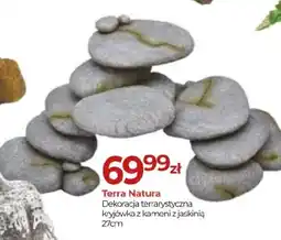 Zoo Karina Terra Natura Dekoracja terrarystyczna oferta