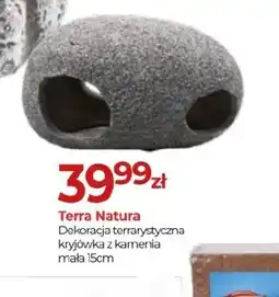 Zoo Karina Terra Natura Dekoracja terrarystyczna oferta