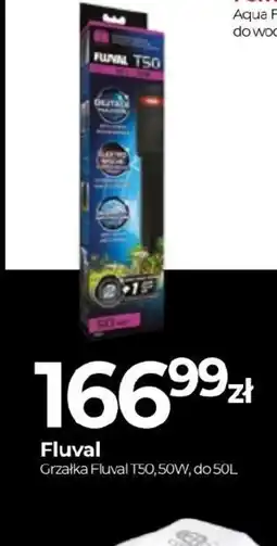 Zoo Karina Grzałka Fluval T50 oferta