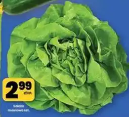 EMMA market Sałata masłowa oferta