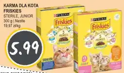 Słoneczko Karma dla kota Friskies oferta