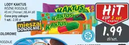 Słoneczko Lody Kaktus oferta