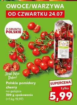 Kaufland Pomidory cherry na gałązce Kaufland oferta