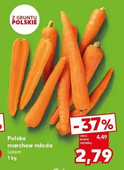 Kaufland Marchew młoda Kaufland oferta