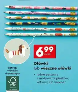 Biedronka Ołówki lub wieczne ołówki oferta