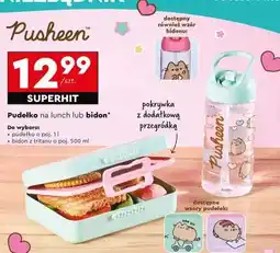 Biedronka PUSHEEN oferta