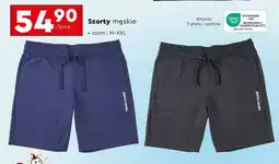 Biedronka Szorty męskie oferta