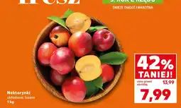 Kaufland Nektarynki oferta