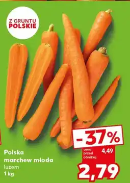 Kaufland Polska marchew młoda oferta