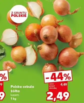 Kaufland Polska cebula żółta oferta