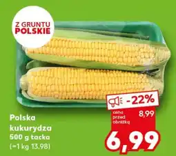 Kaufland Polska kukurydza oferta