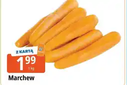 E.Leclerc Marchew oferta