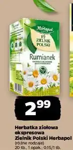 Netto Herbatka rumianek Herbapol Zielnik Polski oferta