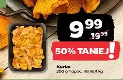 Netto Kurki - całe oferta
