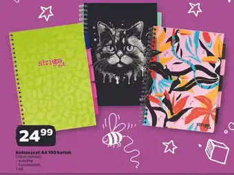 Netto Kołozeszyt a4/100k. kratka Strigo oferta