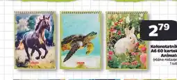 Netto Kołonotatnik a6/60k. animals Herlitz oferta