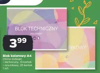 Netto Blok rysunkowy a4/20 kolorowy Interdruk oferta