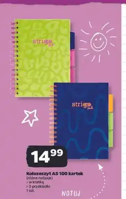 Netto Kołozeszyt a5/100k. kratka Strigo oferta