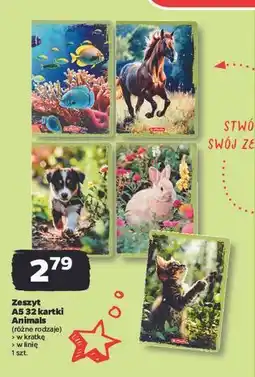 Netto Zeszyt a5/32k linia animals Herlitz oferta