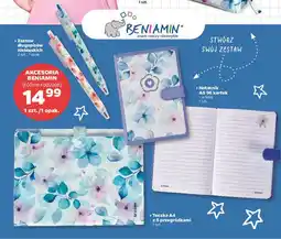 Netto Teczka plastikowa a4 z 5 przegródkami Beniamin oferta