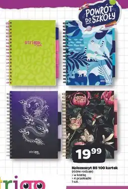 Netto Kołozeszyt b5/100k. kratka Strigo oferta
