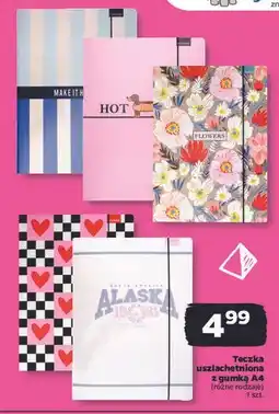 Netto Teczka a4 z gumką Beniamin oferta