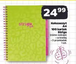 Netto Kołozeszyt a4/100k. kratka Strigo oferta