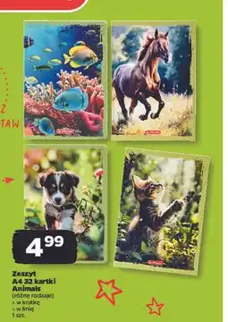 Netto Zeszyt a4/32k linia animals Herlitz oferta