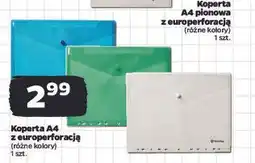 Netto Koperta a4 z europerforacją Panta Plast oferta