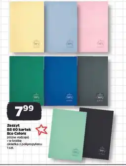 Netto Zeszyt b5/60 k. Herlitz oferta