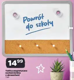 Netto Tablica magnetyczna suchościeralna + korkowa 60 x 40 cm oferta