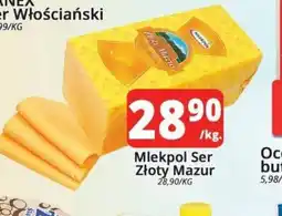 Szyneczka Mlekpol Ser Złoty Mazur oferta