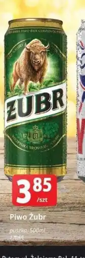 Szyneczka Piwo Zubr oferta