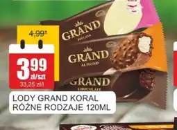 Bingo Lody Grand Koral oferta