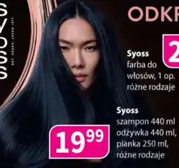 Drogerie Polskie Syoss oferta