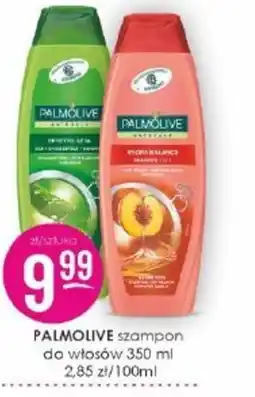 Jaśmin Szampon Palmolive oferta