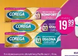 Jaśmin Corega Power Max oferta