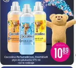 Jaśmin Coccolino Perfume&Care, Fresh&Soft oferta