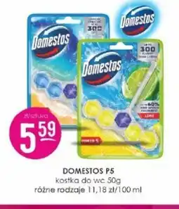 Jaśmin Domestos P5 oferta