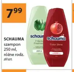 Drogerie Laboo Szampon Schauma oferta