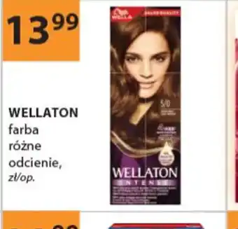 Drogerie Laboo Wellaton farba oferta