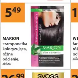 Drogerie Laboo Marion szamponetka koloryzująca oferta