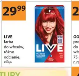 Drogerie Laboo Farba do włosów LIVE oferta