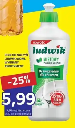 Hildebrandt Płyn do naczyń Ludwik oferta