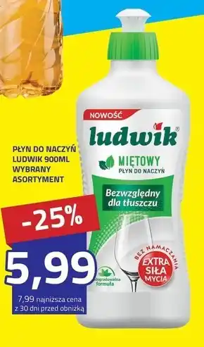 Hildebrandt Płyn do naczyń Ludwik oferta