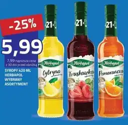 Hildebrandt Syrop owocowy Herbapol oferta
