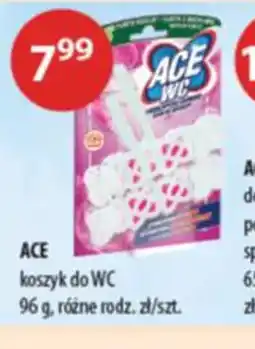 Drogerie Laboo ACE koszyk do WC oferta