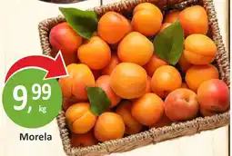 Passa Morela oferta