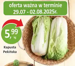 Passa Kapusta Pekińska oferta